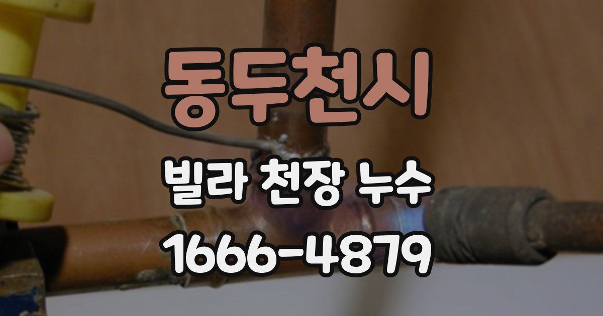 동두천시 빌라 천장 누수