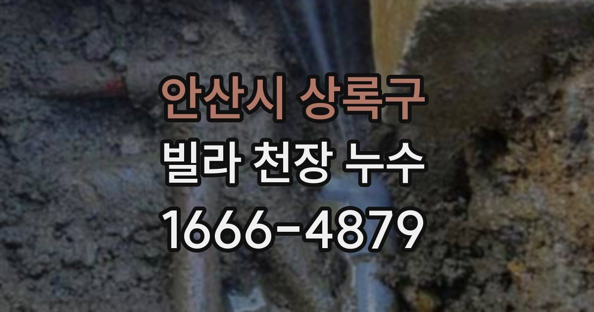 안산시 상록구 빌라 천장 누수