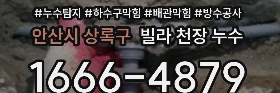 안산시 상록구 빌라 천장 누수