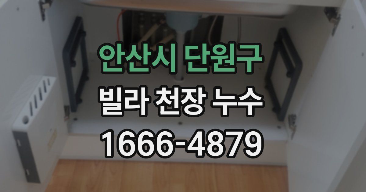 안산시 단원구 빌라 천장 누수