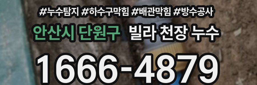 안산시 단원구 빌라 천장 누수