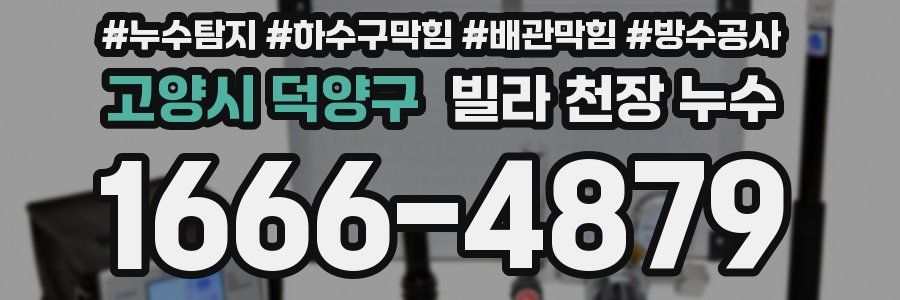 고양시 덕양구 빌라 천장 누수
