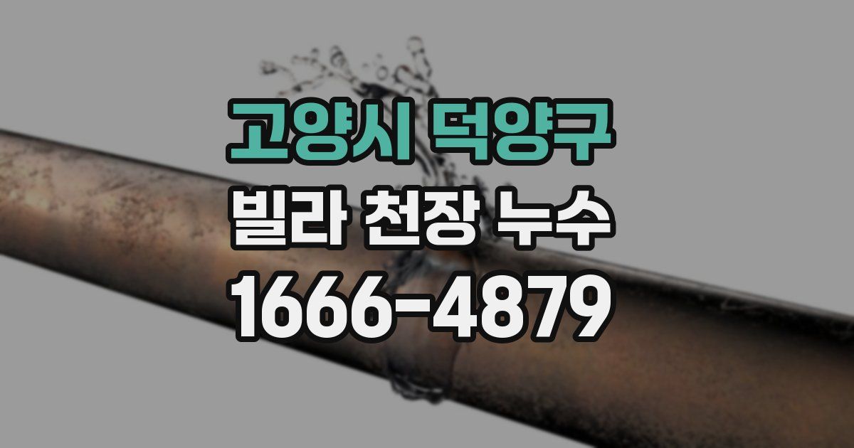 고양시 덕양구 빌라 천장 누수