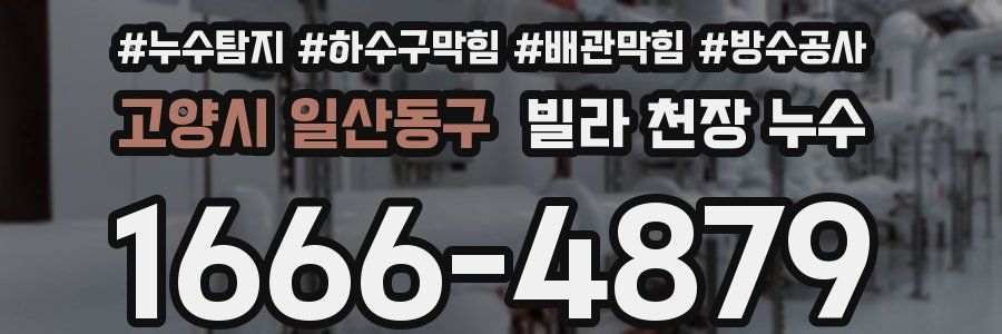 고양시 일산동구 빌라 천장 누수