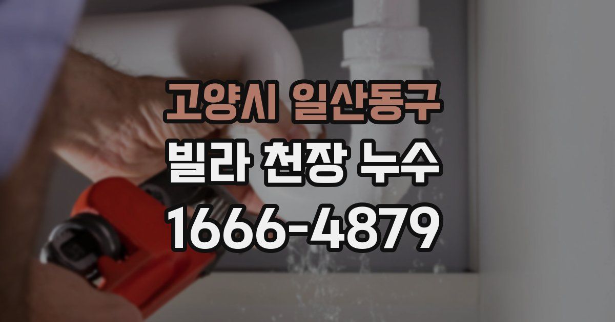 고양시 일산동구 빌라 천장 누수