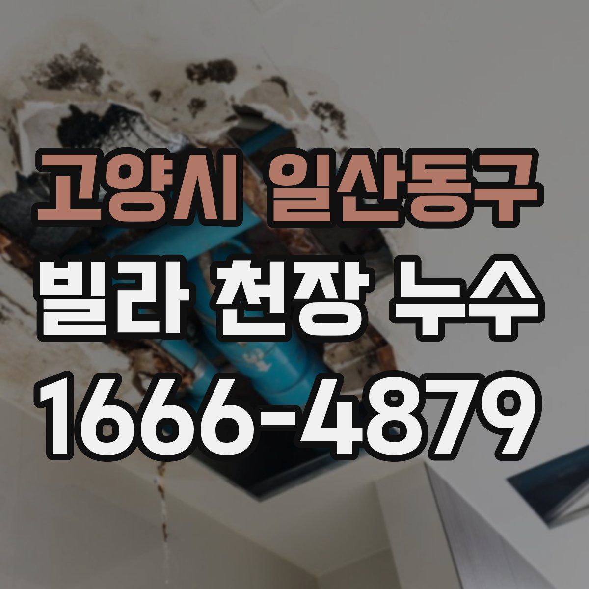 고양시 일산동구 빌라 천장 누수