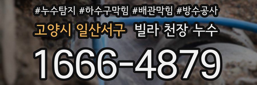 고양시 일산서구 빌라 천장 누수