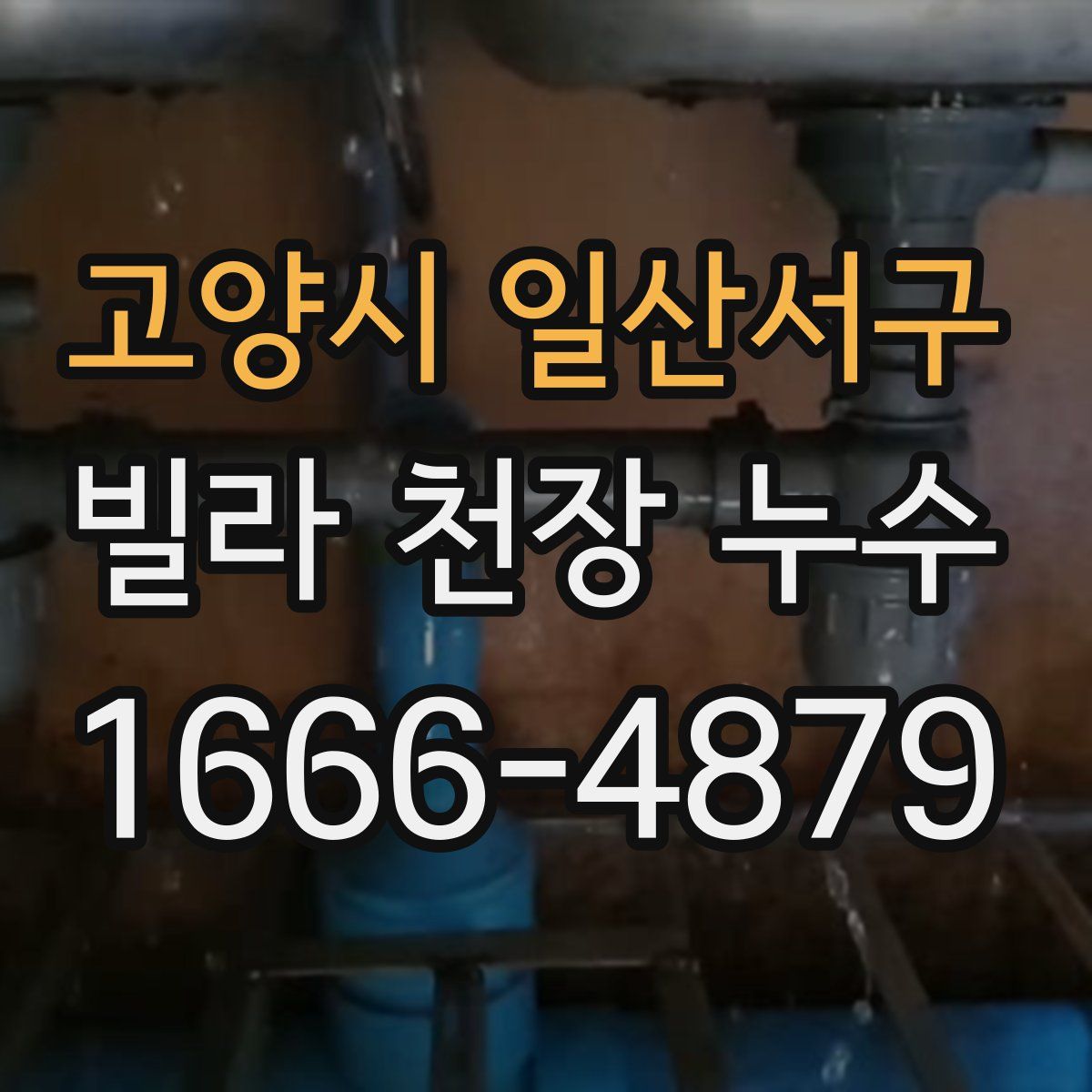 고양시 일산서구 빌라 천장 누수