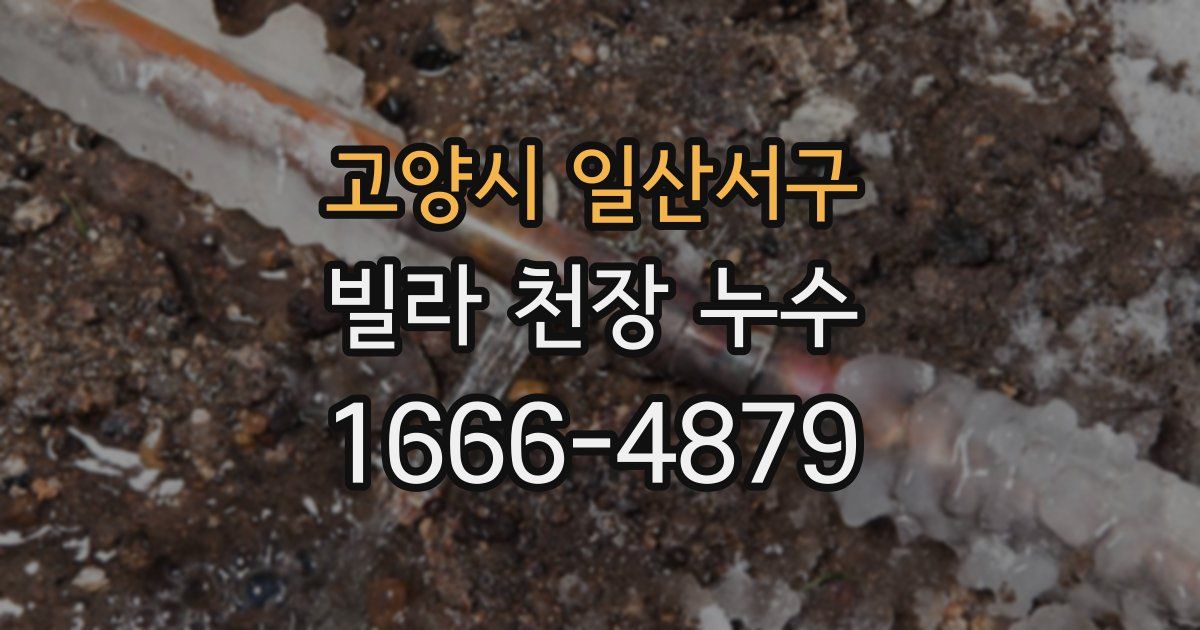 고양시 일산서구 빌라 천장 누수