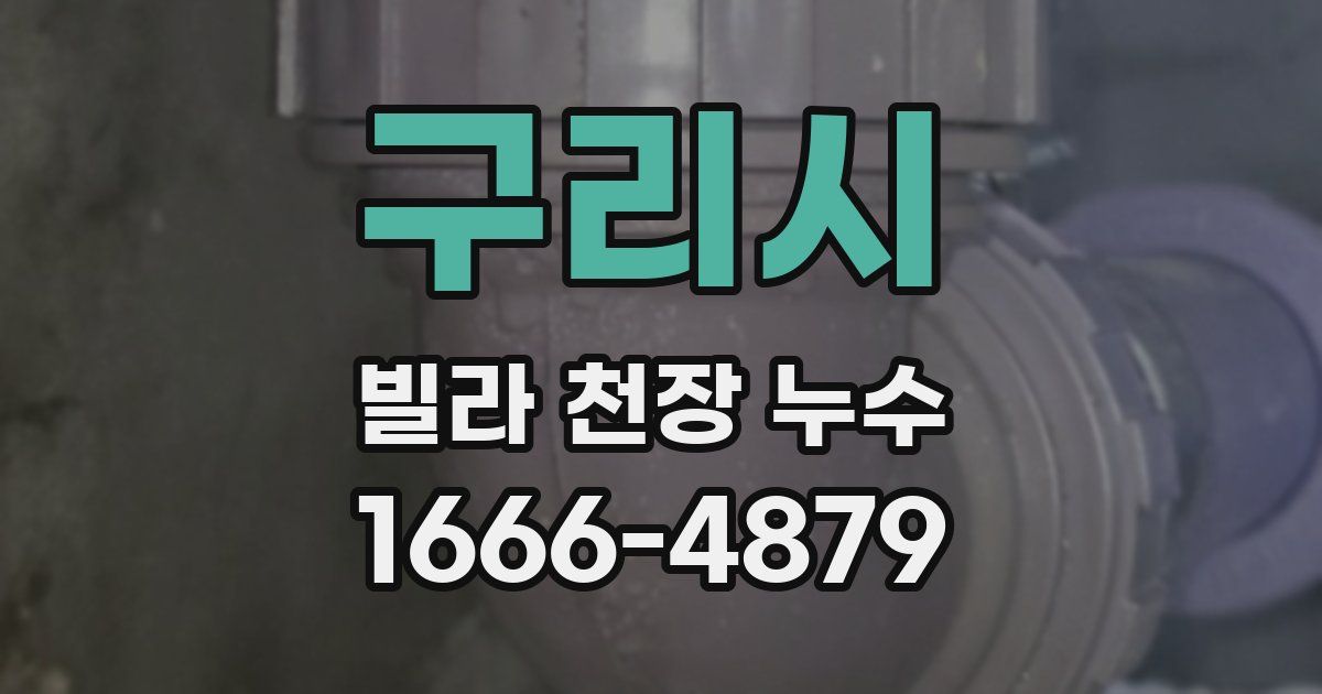 구리시 빌라 천장 누수