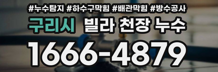 구리시 빌라 천장 누수