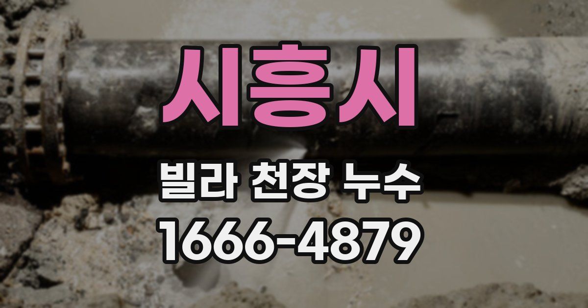 시흥시 빌라 천장 누수