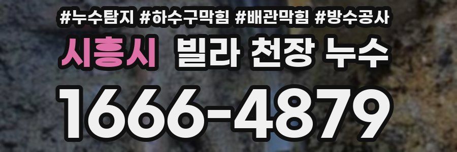 시흥시 빌라 천장 누수