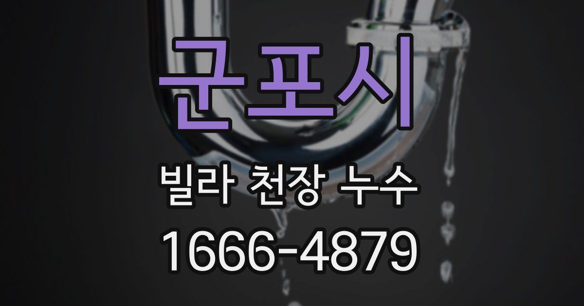 군포시 빌라 천장 누수
