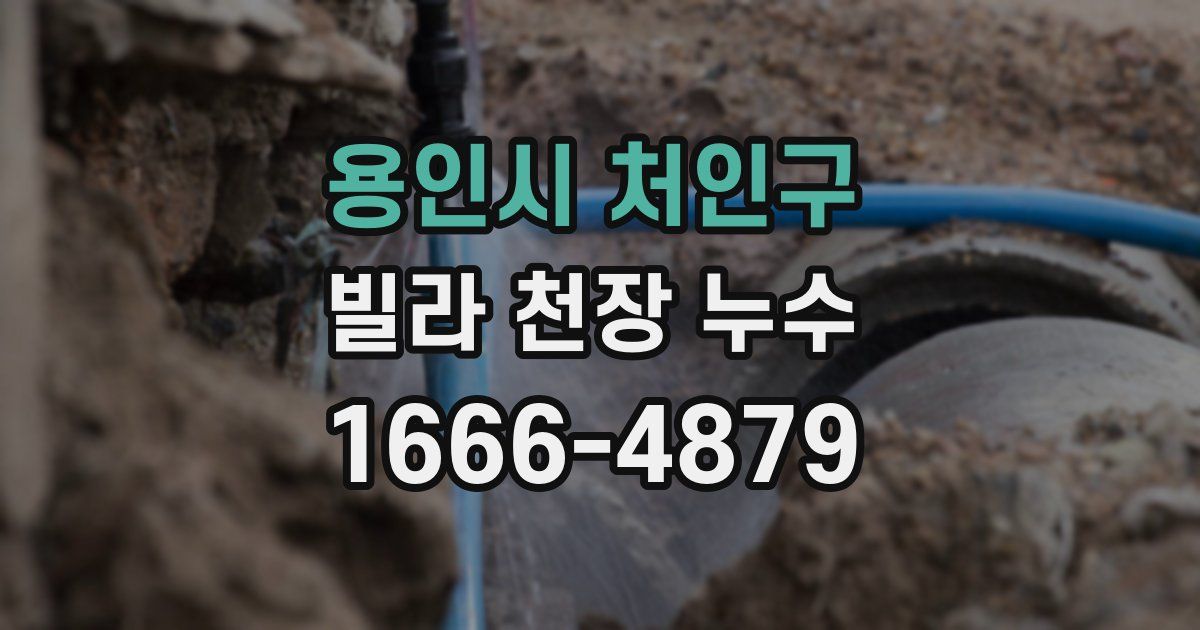 용인시 처인구 빌라 천장 누수