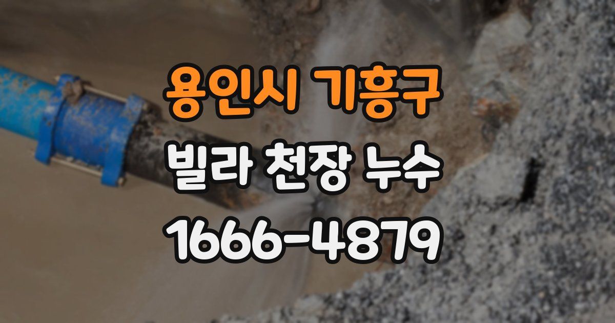 용인시 기흥구 빌라 천장 누수