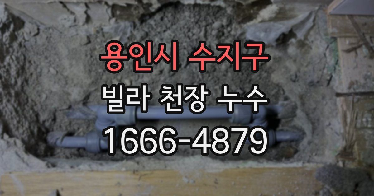 용인시 수지구 빌라 천장 누수