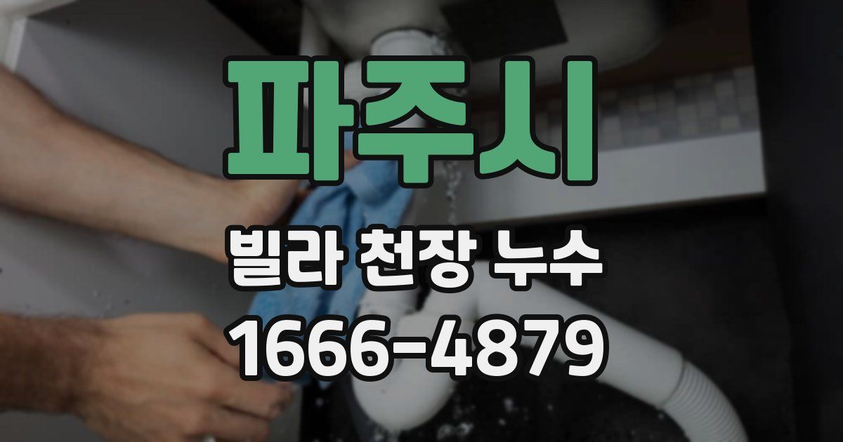 파주시 빌라 천장 누수