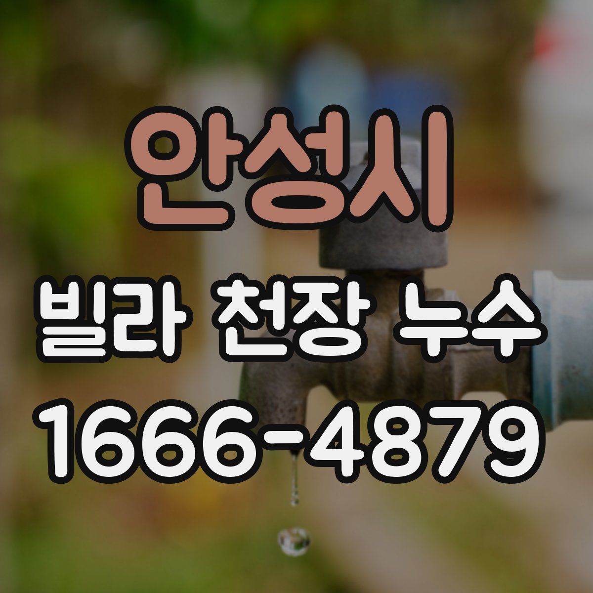 안성시 빌라 천장 누수