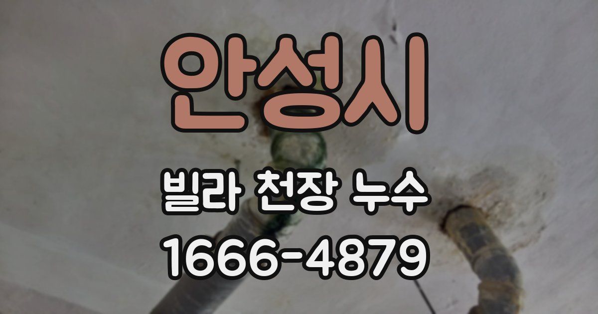 안성시 빌라 천장 누수