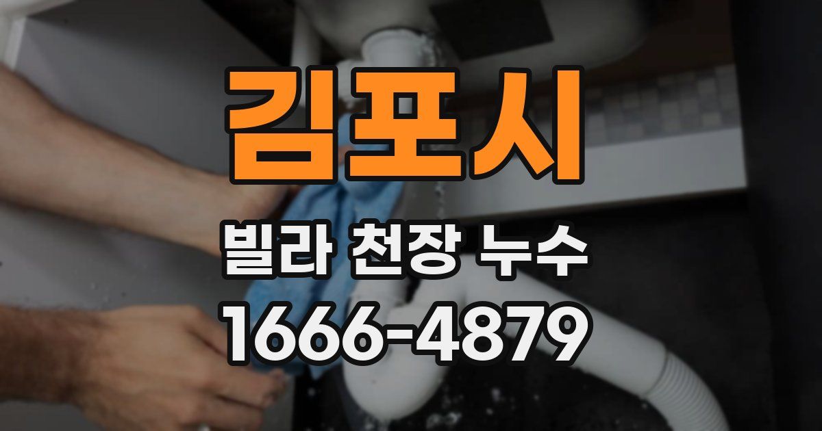 김포시 빌라 천장 누수