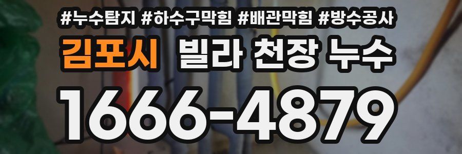 김포시 빌라 천장 누수