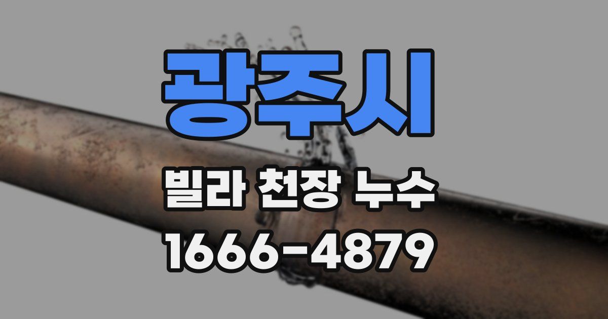 광주시 빌라 천장 누수