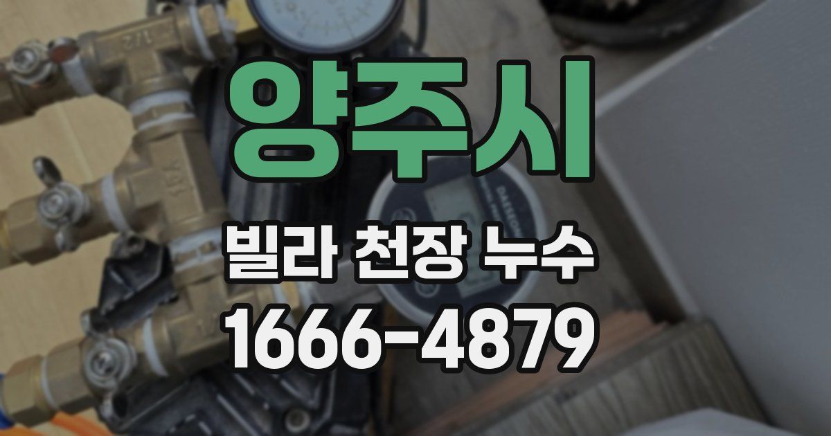 양주시 빌라 천장 누수