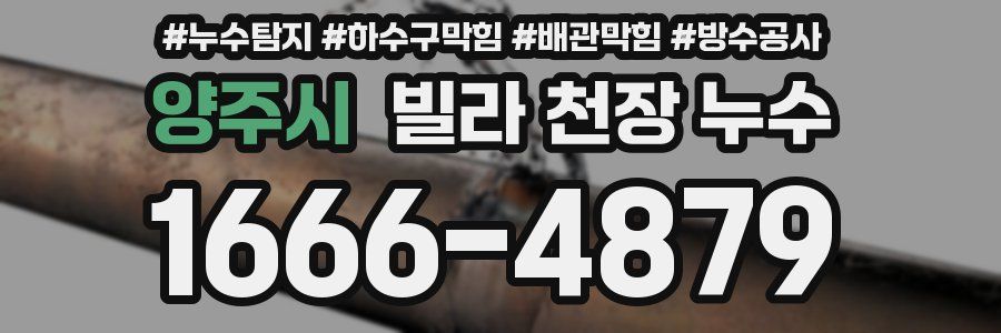 양주시 빌라 천장 누수
