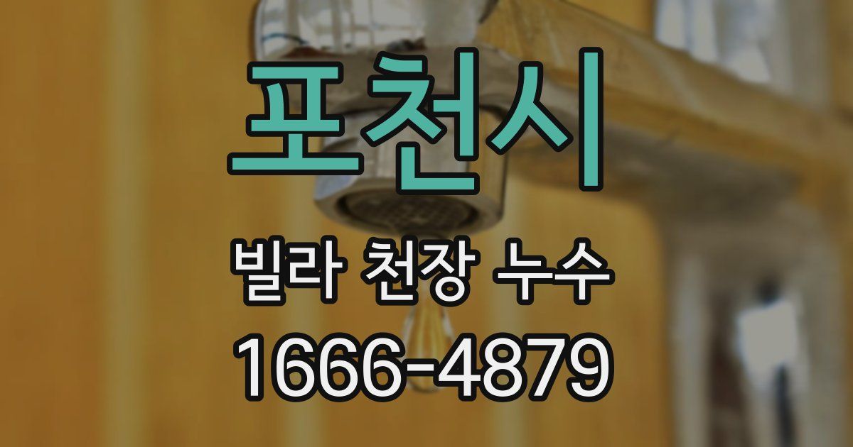 포천시 빌라 천장 누수