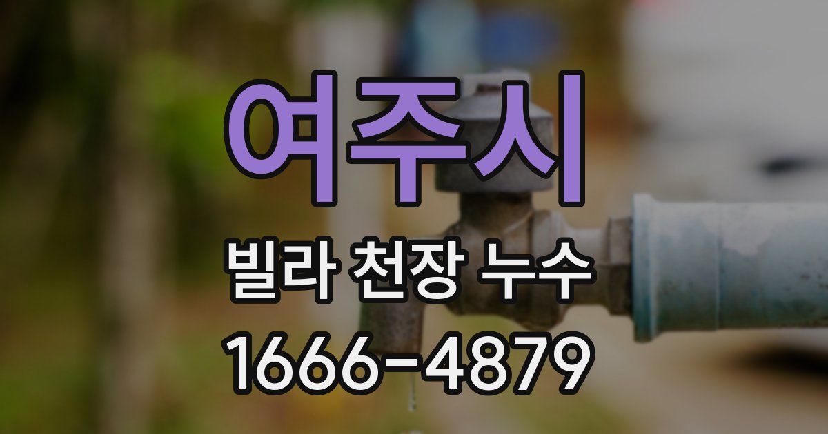 여주시 빌라 천장 누수