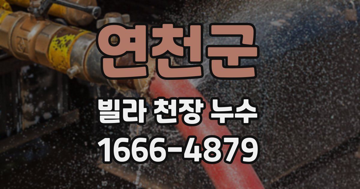 연천군 빌라 천장 누수