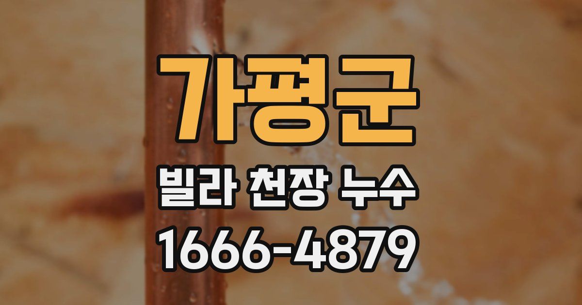 가평군 빌라 천장 누수