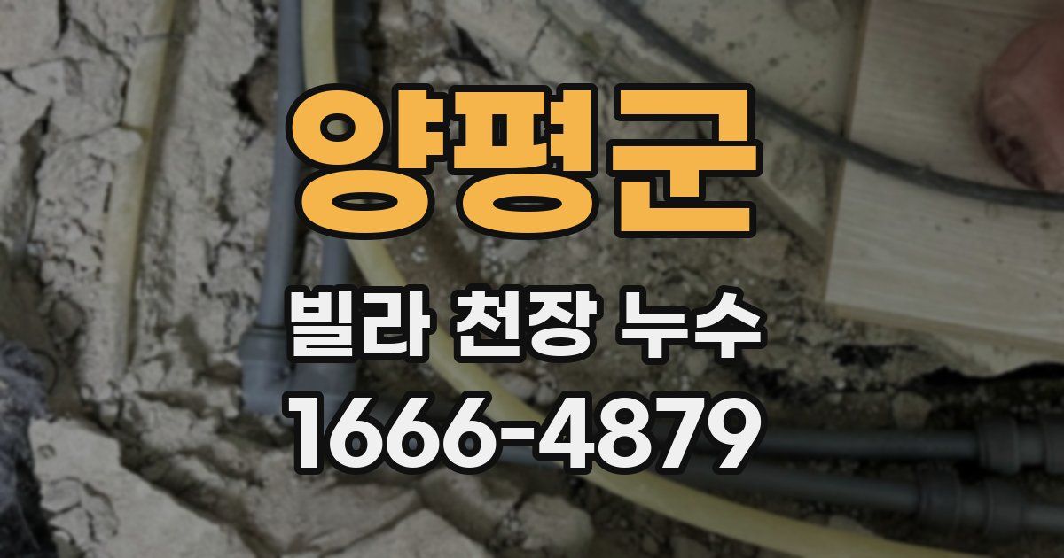 양평군 빌라 천장 누수