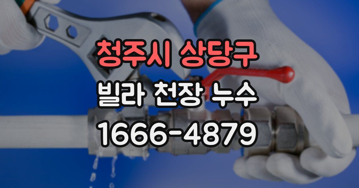 청주시 상당구 빌라 천장 누수