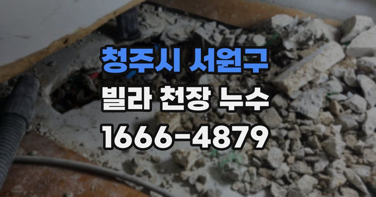 청주시 서원구 빌라 천장 누수