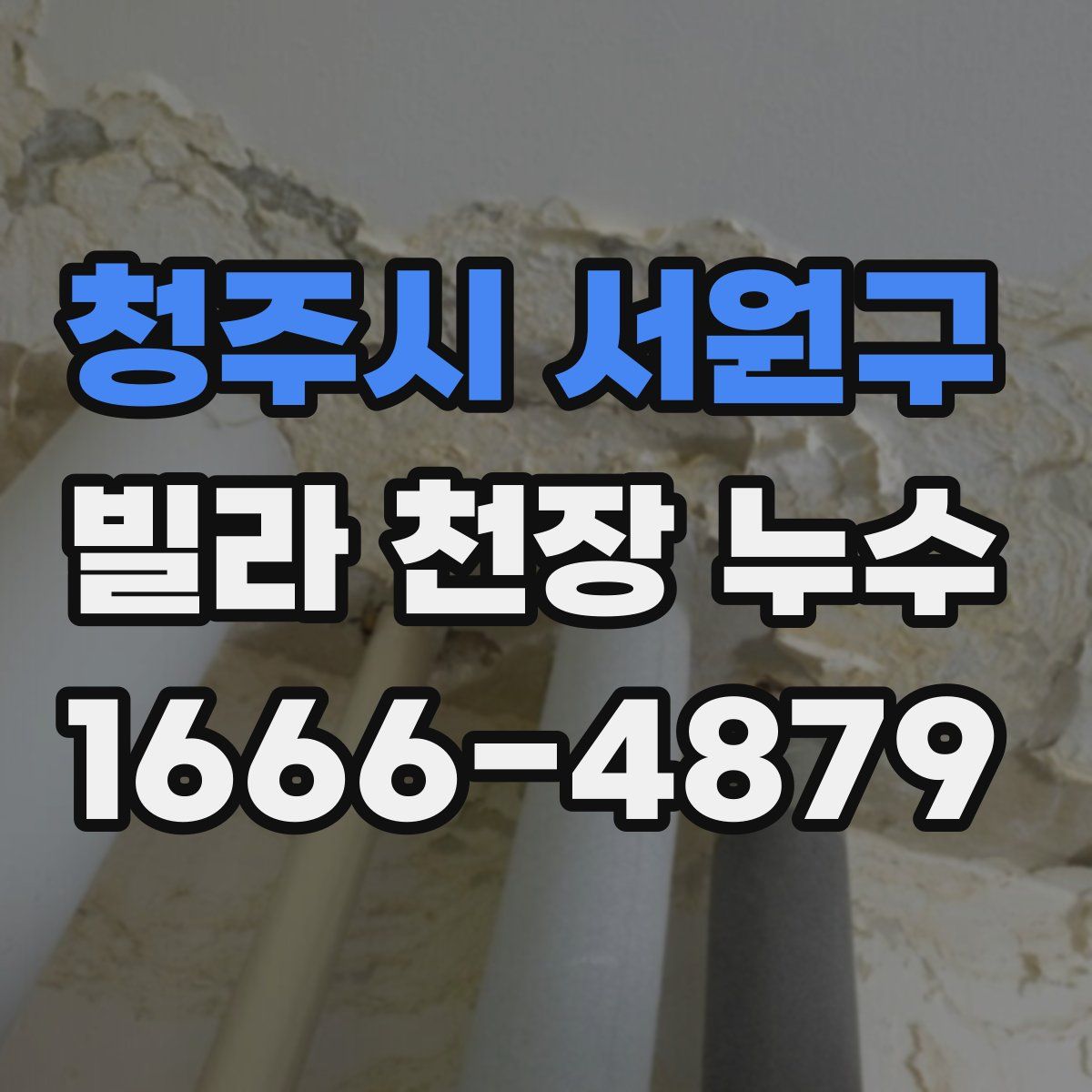 청주시 서원구 빌라 천장 누수