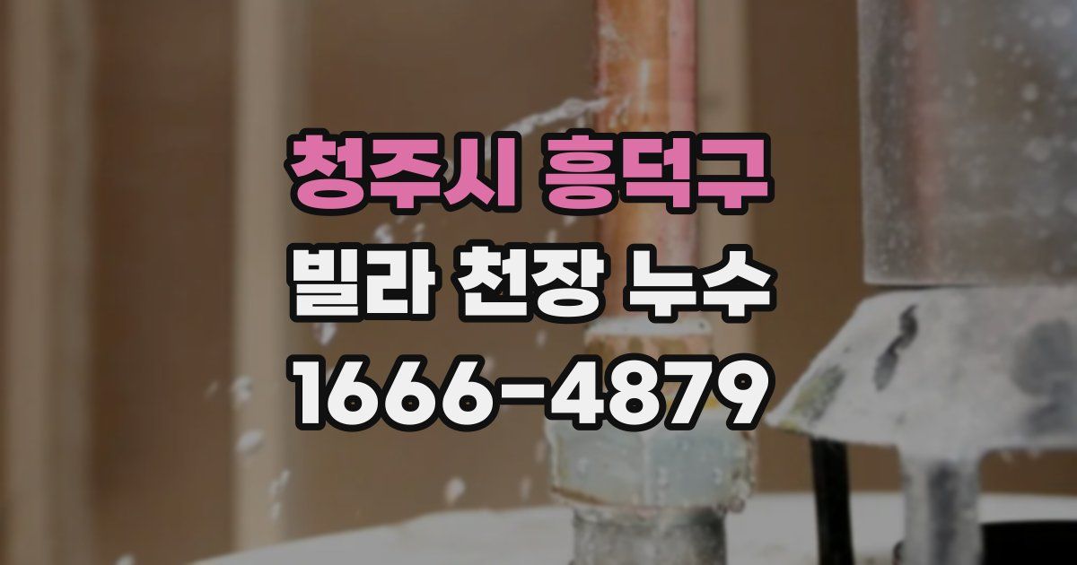청주시 흥덕구 빌라 천장 누수