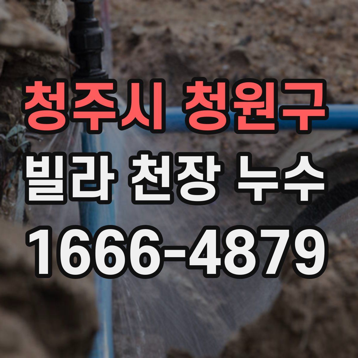 청주시 청원구 빌라 천장 누수