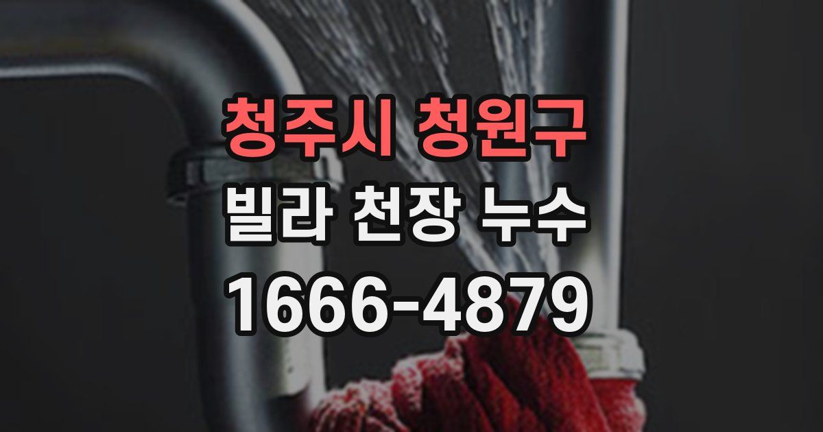 청주시 청원구 빌라 천장 누수