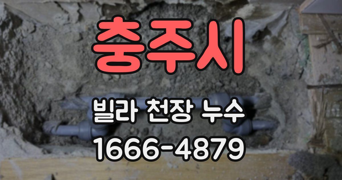 충주시 빌라 천장 누수