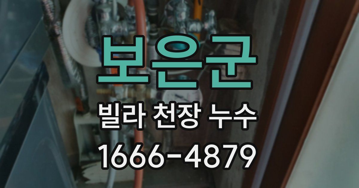 보은군 빌라 천장 누수