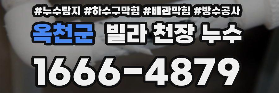 옥천군 빌라 천장 누수