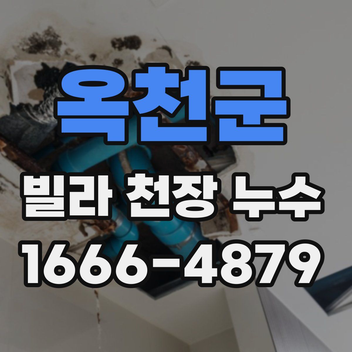 옥천군 빌라 천장 누수