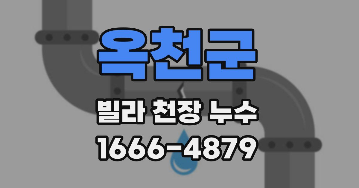 옥천군 빌라 천장 누수