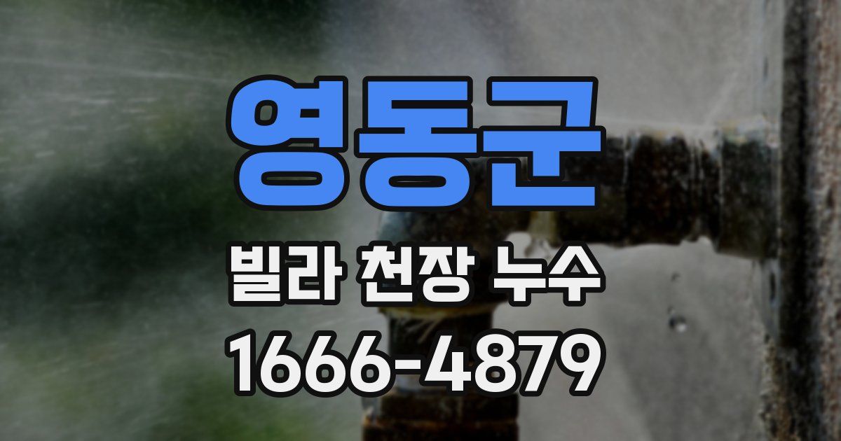 영동군 빌라 천장 누수