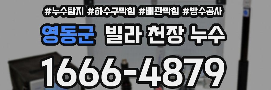 영동군 빌라 천장 누수