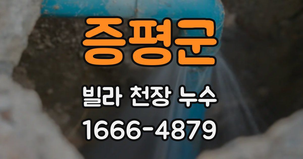 증평군 빌라 천장 누수