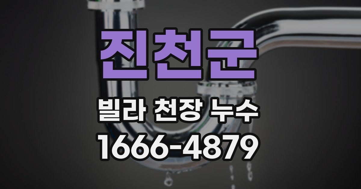 진천군 빌라 천장 누수