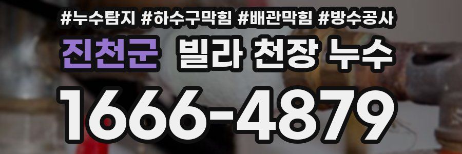 진천군 빌라 천장 누수